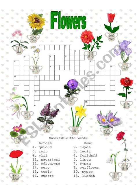 spring flower crossword clue